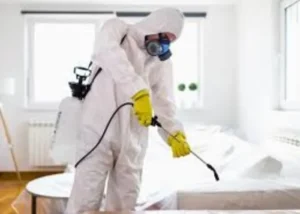 أفضل شركة تنظيف بيوت بنجران 