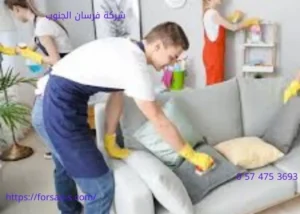 تنظيف شقق وبيوت بنجران